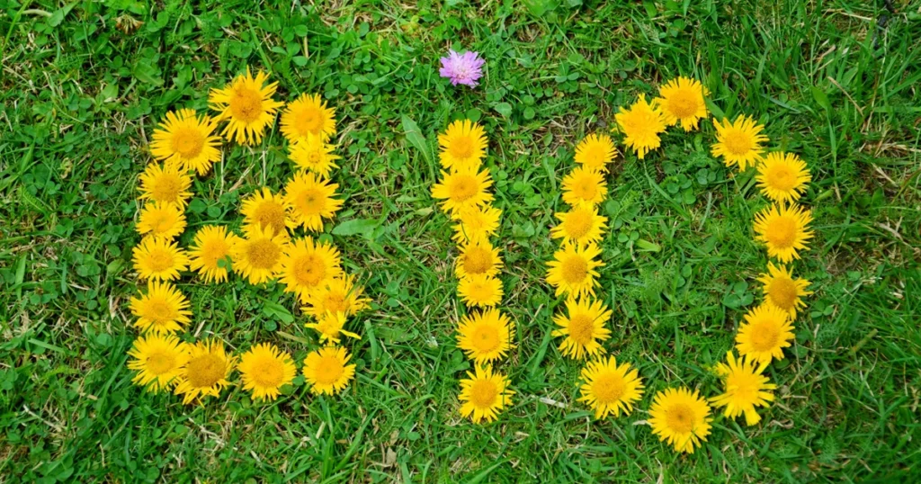 A bio felirat nem mindig jelent egészséges választást életmódváltáskor